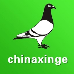 中国信鸽信息网最新版