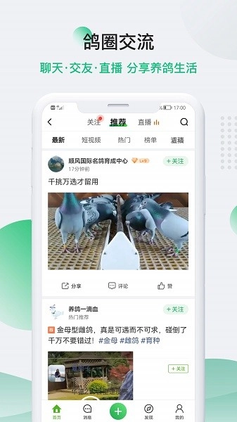 中国信鸽信息网最新版