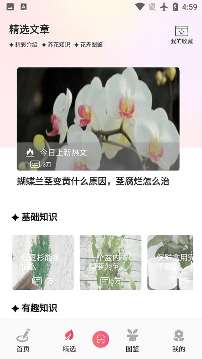 阑舒养花宝-图2
