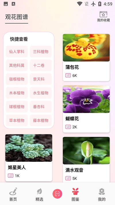 阑舒养花宝-图1