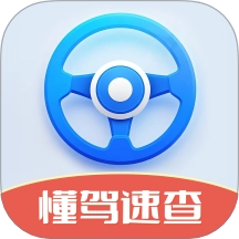 懂驾速查