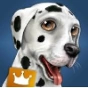 狗狗世界我的小狗游戏