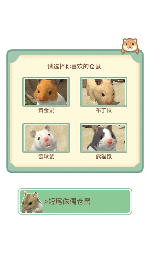 我的仓鼠正版(3)