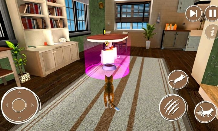 顽皮猫生活模拟(2)