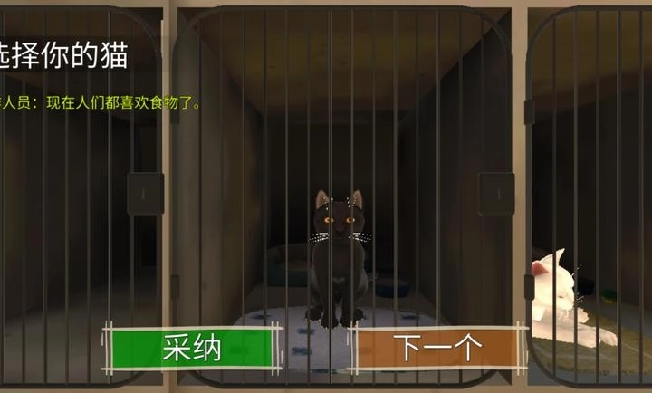 顽皮猫生活模拟(3)