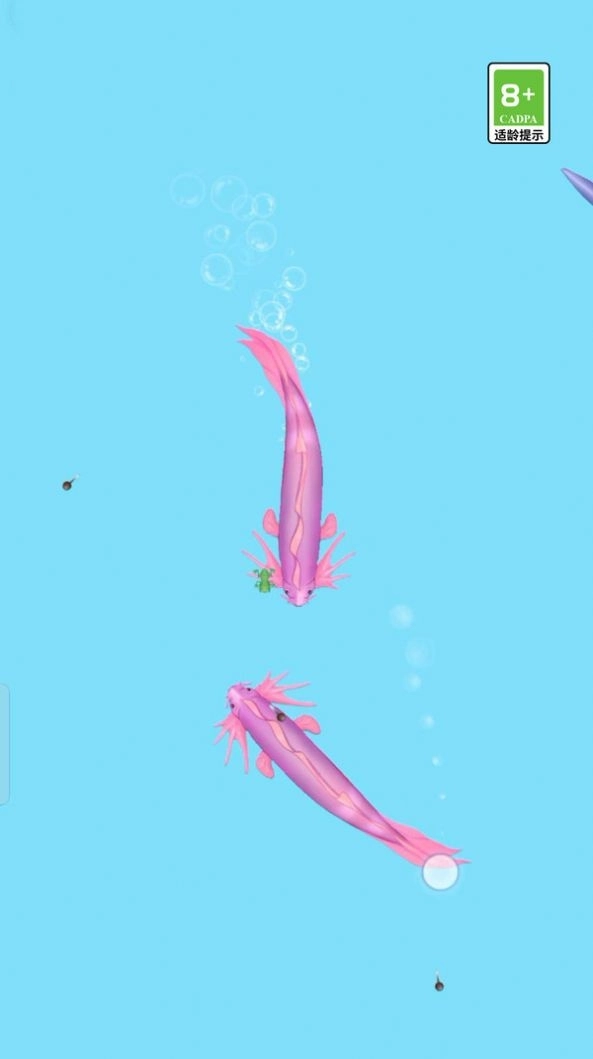 荷塘争霸折相思最新版1.0.0(3)