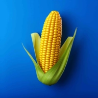 农场之地汉化版3.0.1