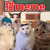 猫meme搞怪冒险游戏