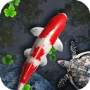 鱼池动态壁纸最新版