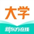 新东方大学考试.6