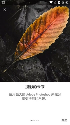 lightroom调色软件手机版(4)