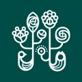 野獸派