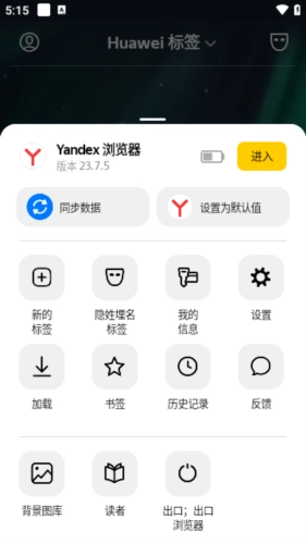 俄罗斯搜索引擎安卓最新版图1