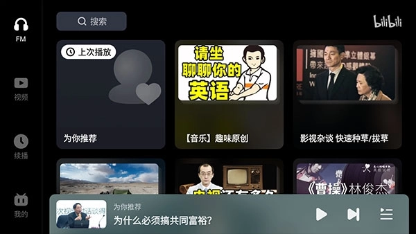 哔哩哔哩车机版(3)