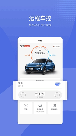 赛力斯汽车(3)
