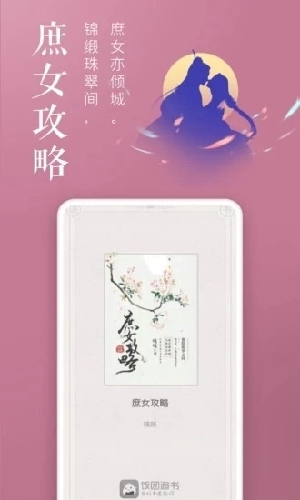 饭团追书安装图1
