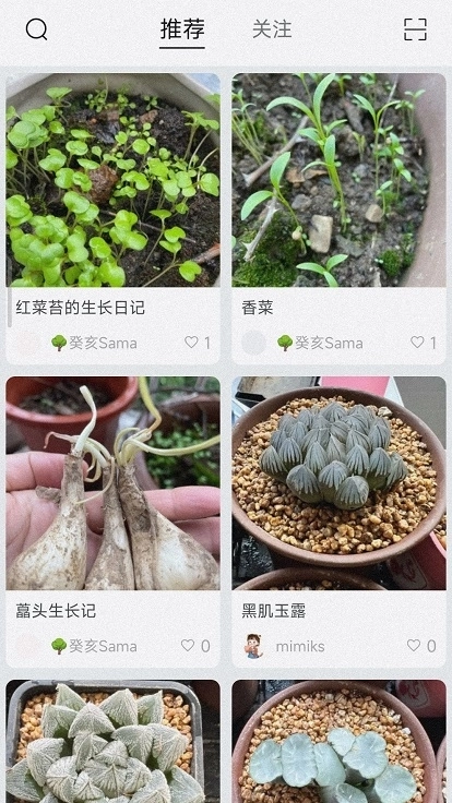 小植物手机版