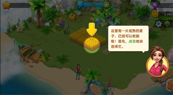 梦幻龙乐园安装最新版图1