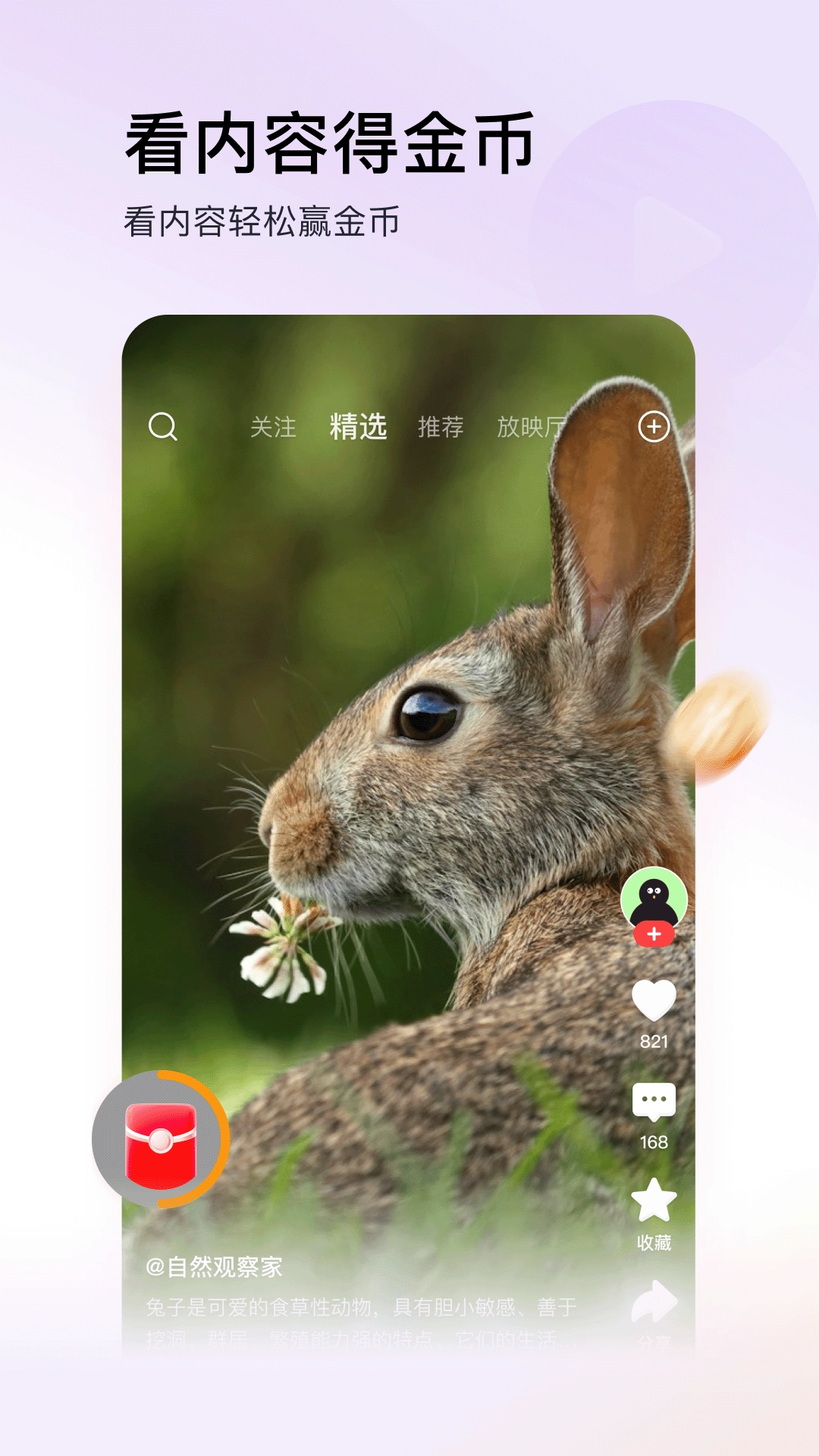 头条搜索极速版