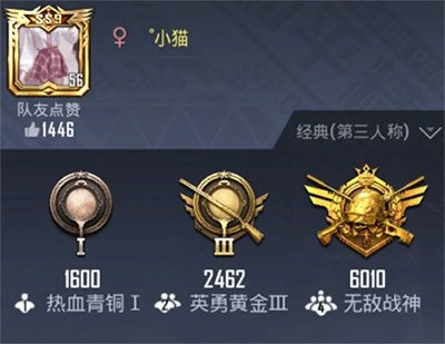 和平精英游戏ID允许使用的字符清单
