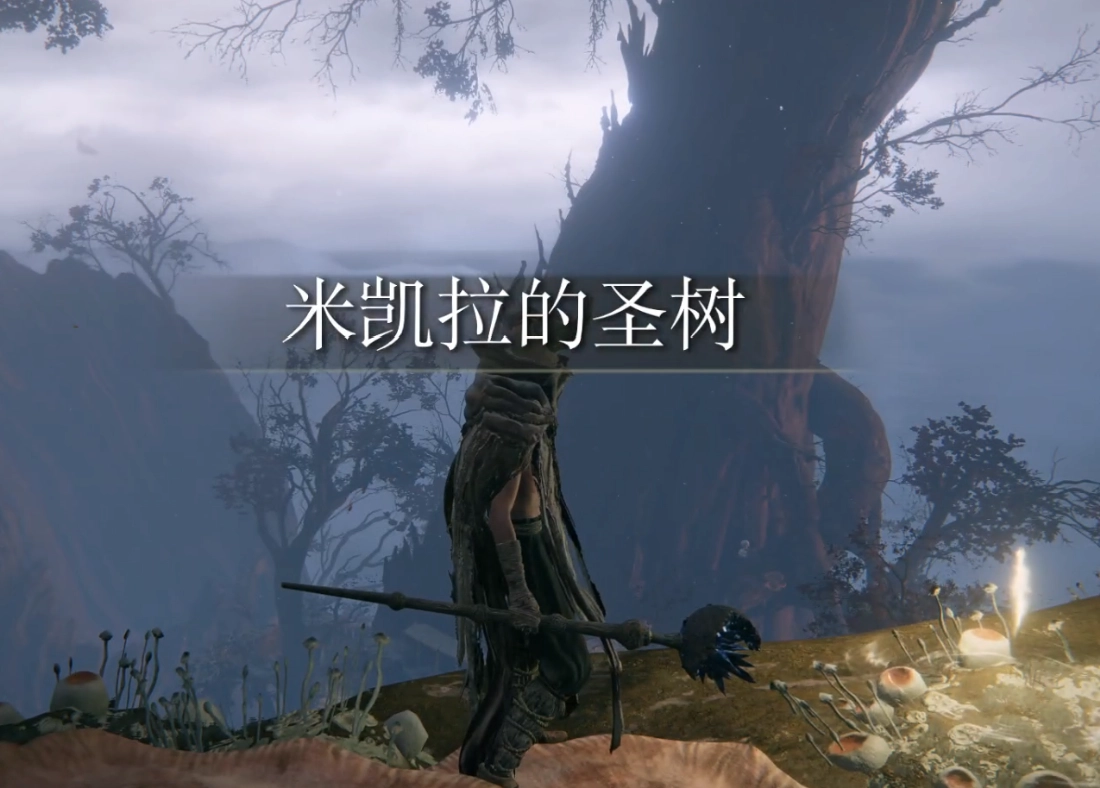 艾尔登法环从圣树树冠前往圣树镇的路线指南，含必备物品清单与注意要点