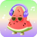 西瓜畅听音乐原版