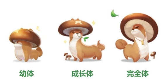 QQ飞车手游里的香菇貂表现如何