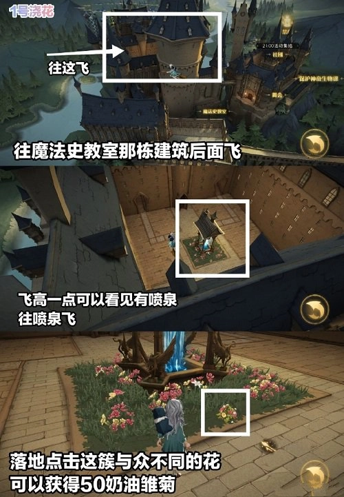 哈利波特魔法觉醒里的浇花彩蛋该如何完成