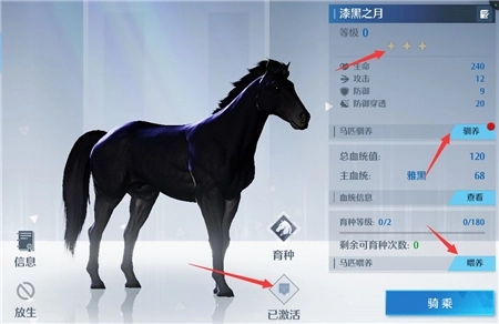 诺亚之心坐骑捕捉方法是什么