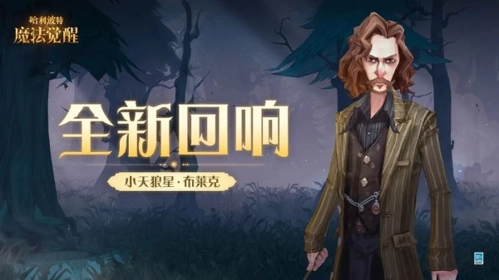 哈利波特魔法觉醒里的小天狼星回响表现如何