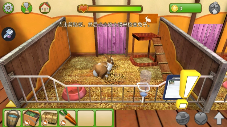 宠物世界我的动物救援(2)