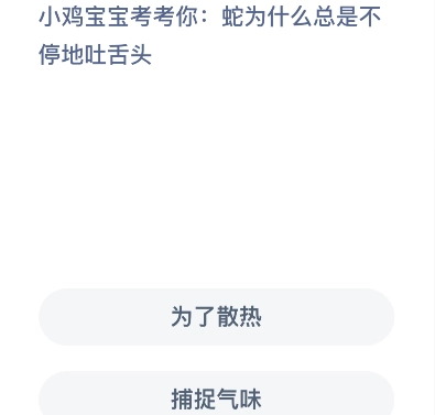 小鸡庄园8月15日最新答案