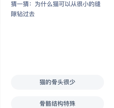 小鸡庄园8月18日最新答案