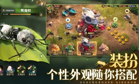 在小小蚁国里账号无法绑定该怎么解决