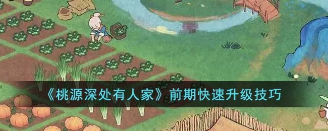 桃源深处有人家前期升级攻略新手快速提升等级的实用技巧
