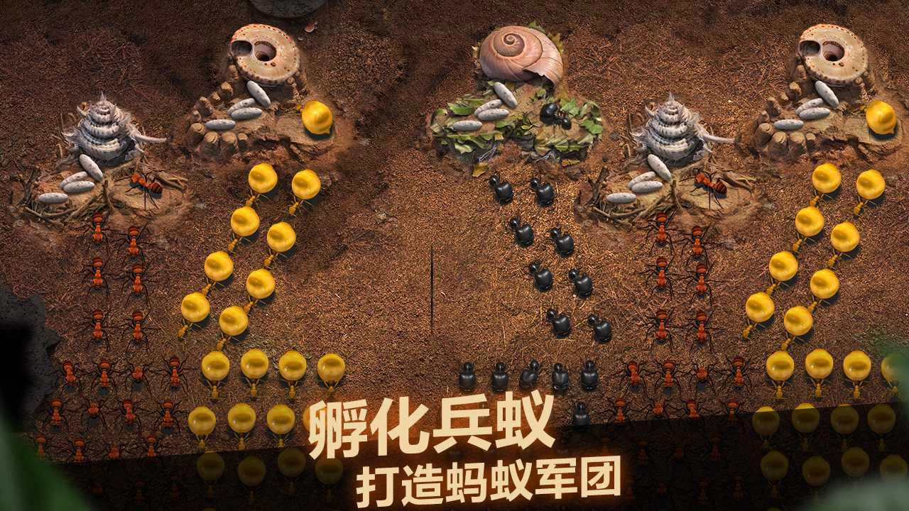 小小蚁国游戏指南