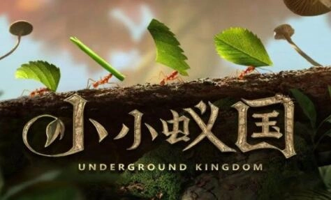 小小蚁国里特化蚁的搭配策略