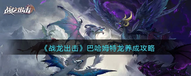 战龙出击巴哈姆特龙培养指南巴哈姆特龙养成方法