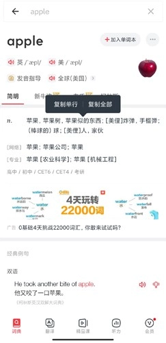 网易有道词典11