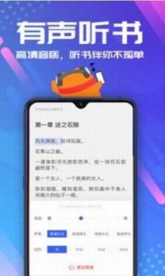安然小说图1