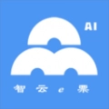 智云e票官方版