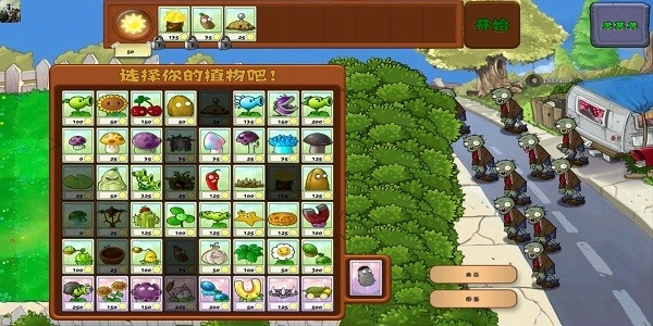 植物大战僵尸老版(3)