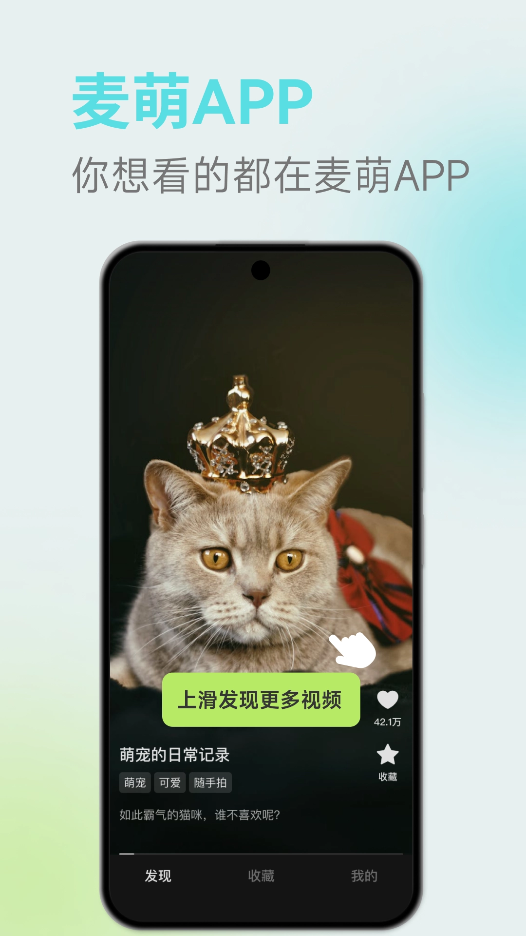 麦萌短剧(4)