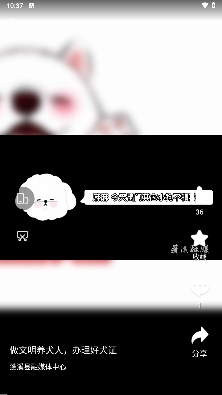书乡蓬溪手机正版图3