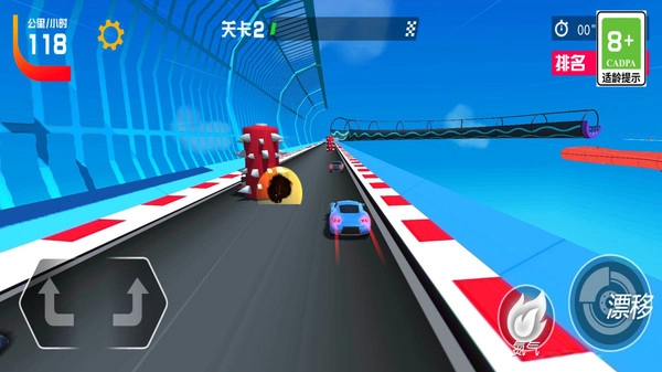 飙车赛车手图2