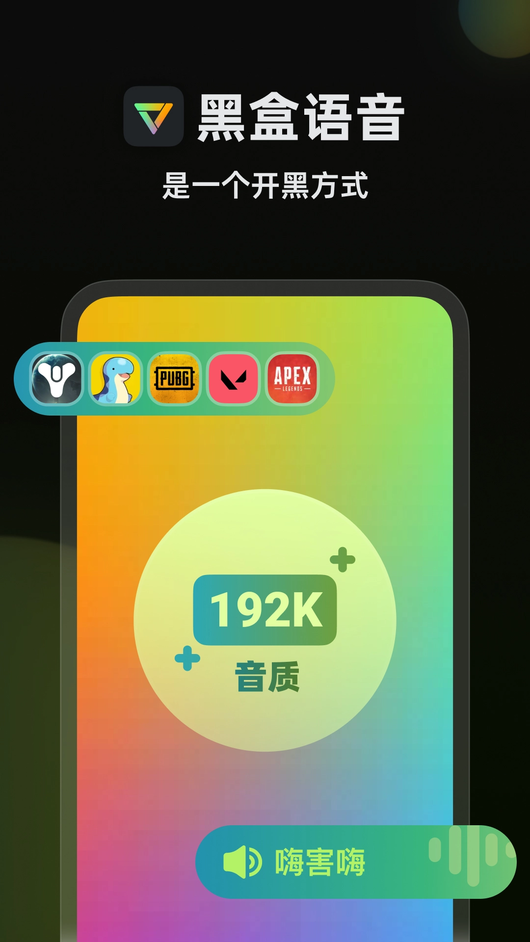 黑盒语音图4