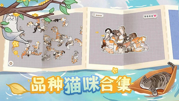 擠在一起的貓貓