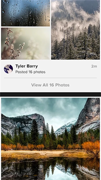 Flickr图2