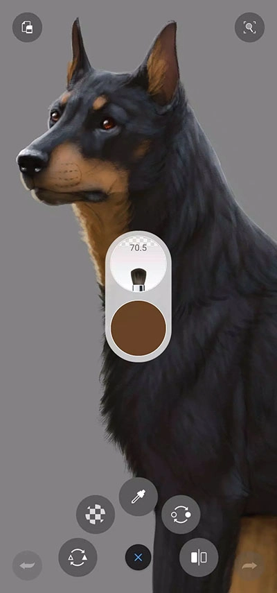 sketchbook免费版1