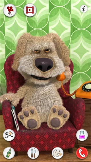 会说话的狗狗本最新版(4)